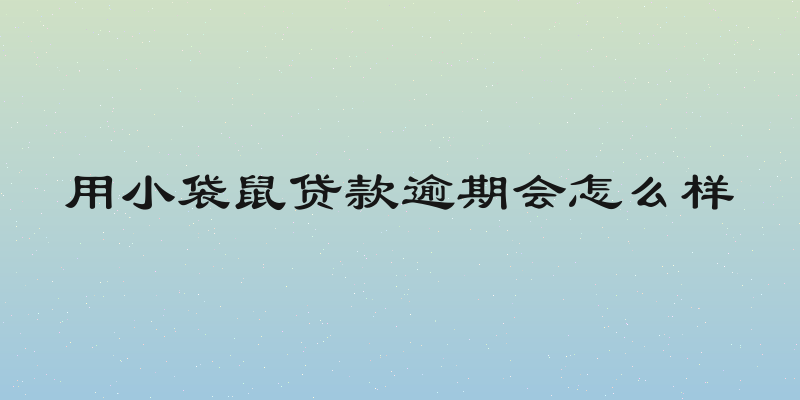 用小袋鼠贷款逾期会怎么样
