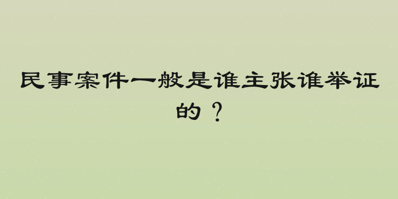 民事案件一般是谁主张谁举证的？