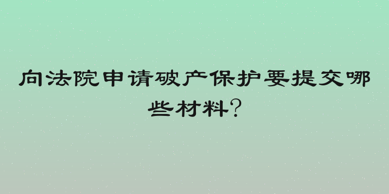 向法院申请破产保护要提交哪些材料?