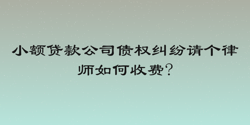 小额贷款公司债权纠纷请个律师如何收费?