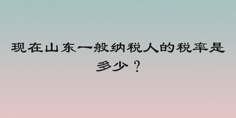 现在山东一般纳税人的税率是多少？