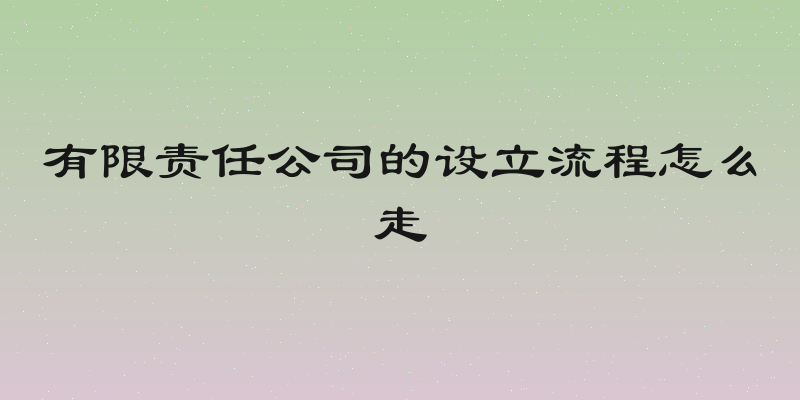 有限责任公司的设立流程怎么走