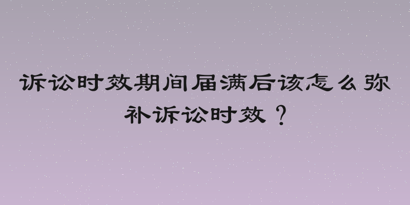 诉讼时效期间届满后该怎么弥补诉讼时效？
