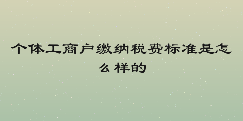 个体工商户缴纳税费标准是怎么样的