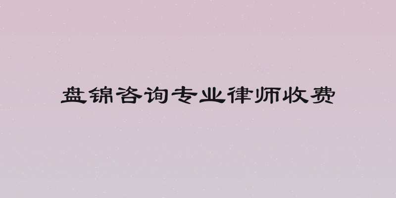 盘锦咨询专业律师收费