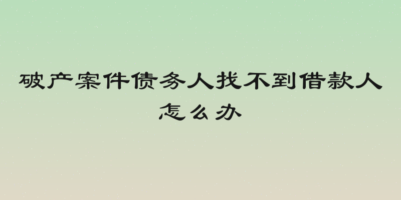 破产案件债务人找不到借款人怎么办