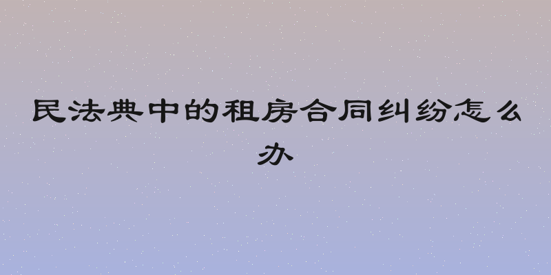 民法典中的租房合同纠纷怎么办