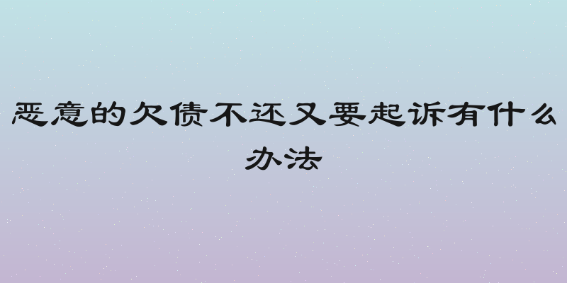 恶意的欠债不还又要起诉有什么办法