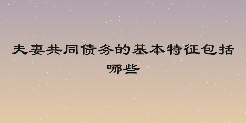 夫妻共同债务的基本特征包括哪些