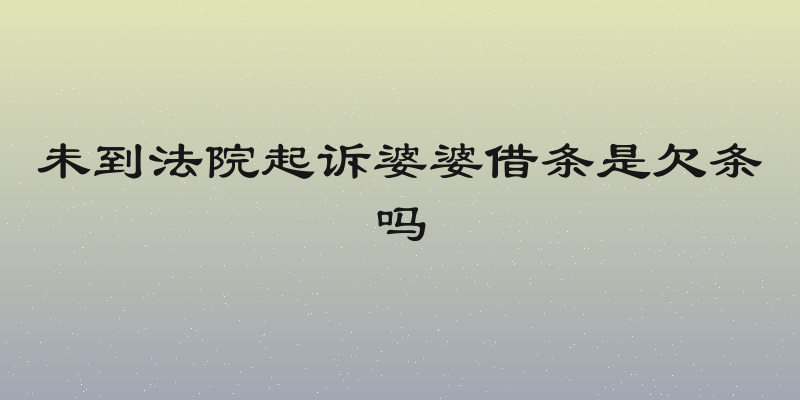 未到法院起诉婆婆借条是欠条吗