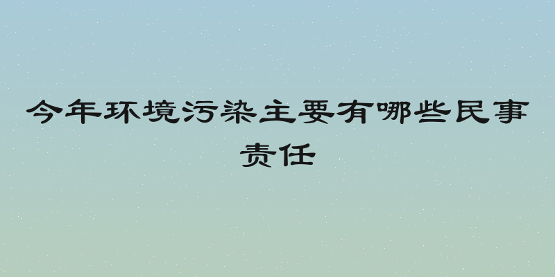 今年环境污染主要有哪些民事责任