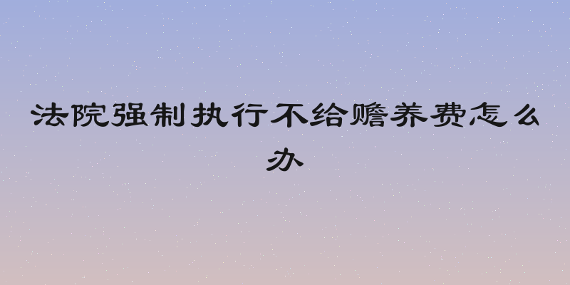 法院强制执行不给赡养费怎么办