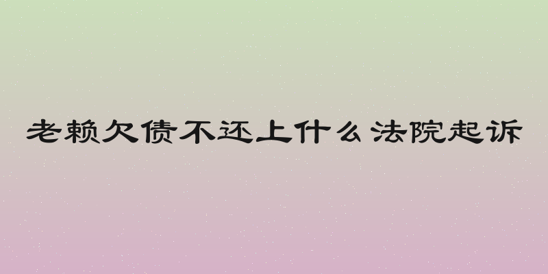 老赖欠债不还上什么法院起诉