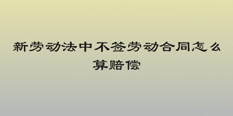 新劳动法中不签劳动合同怎么算赔偿