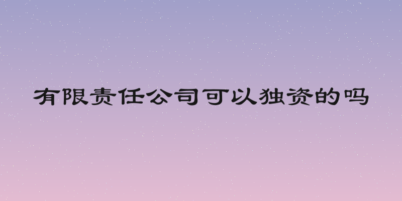 有限责任公司可以独资的吗