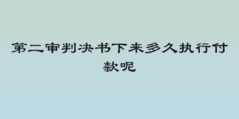 第二审判决书下来多久执行付款呢