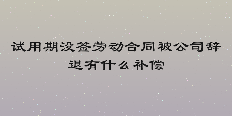试用期没签劳动合同被公司辞退有什么补偿