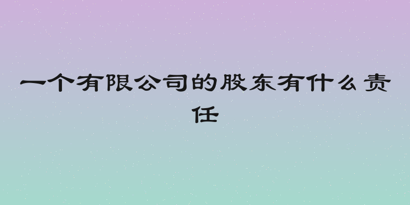 一个有限公司的股东有什么责任