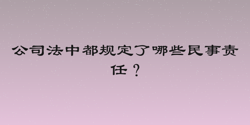 公司法中都规定了哪些民事责任？