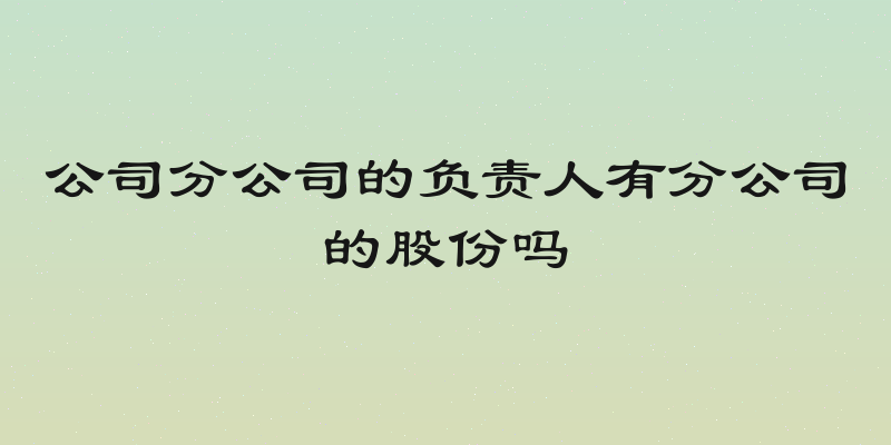 公司分公司的负责人有分公司的股份吗