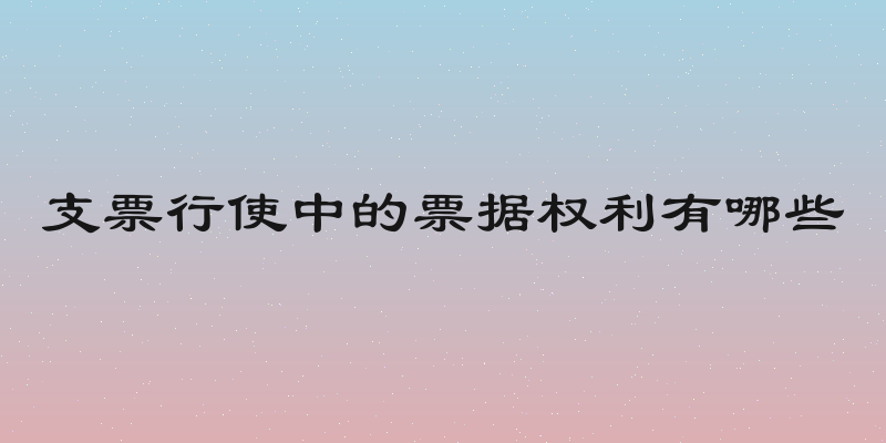 支票行使中的票据权利有哪些