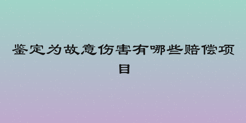 鉴定为故意伤害有哪些赔偿项目