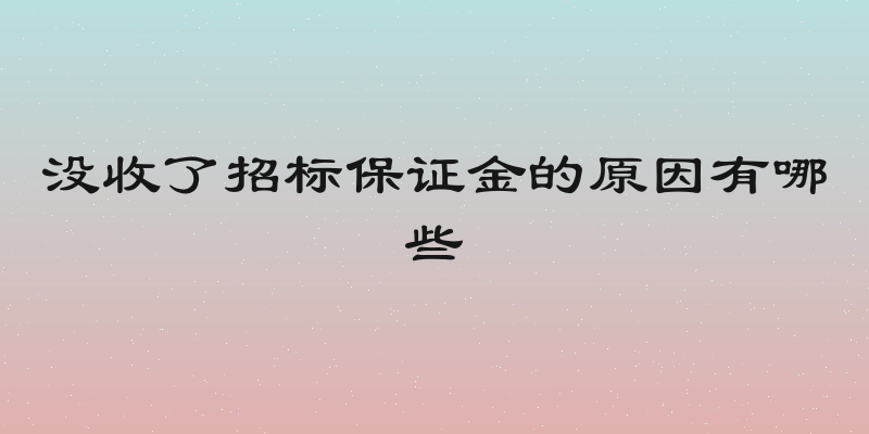 没收了招标保证金的原因有哪些