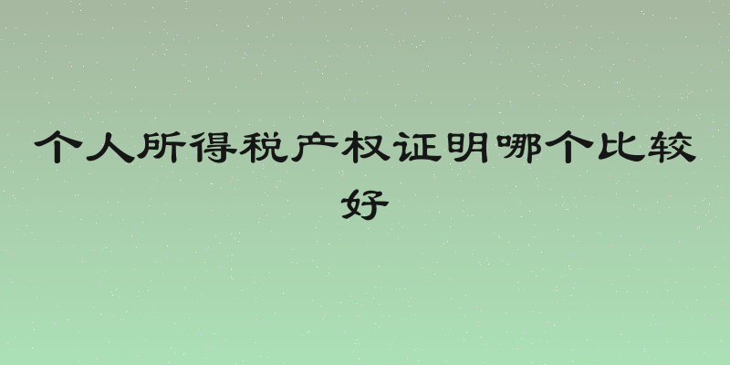 个人所得税产权证明哪个比较好