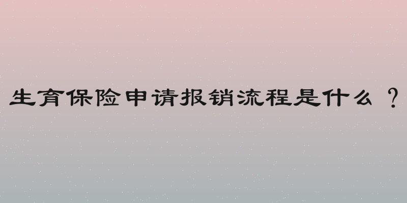 生育保险申请报销流程是什么？