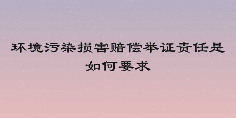 环境污染损害赔偿举证责任是如何要求