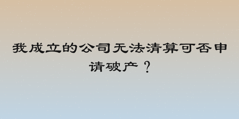 我成立的公司无法清算可否申请破产？
