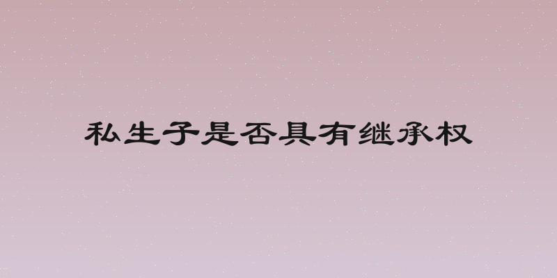私生子是否具有继承权