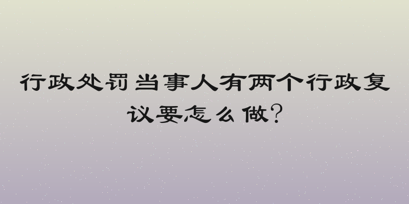 行政处罚当事人有两个行政复议要怎么做?