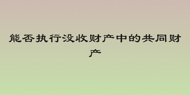 能否执行没收财产中的共同财产