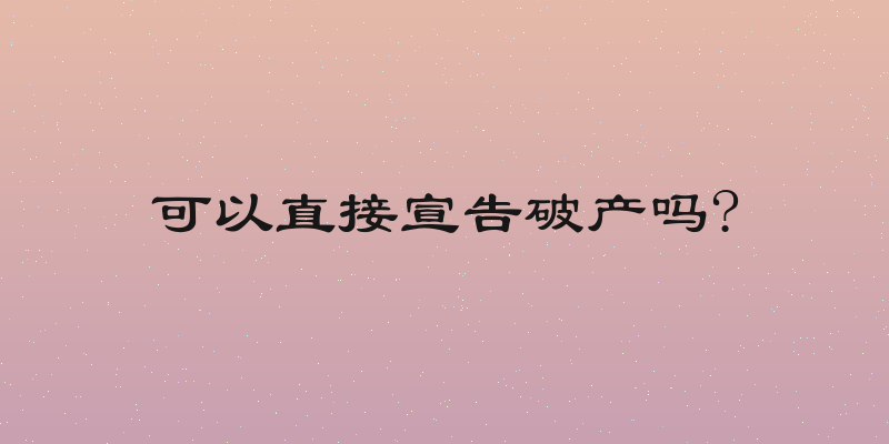 可以直接宣告破产吗?