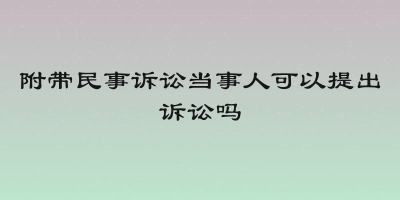 附带民事诉讼当事人可以提出诉讼吗