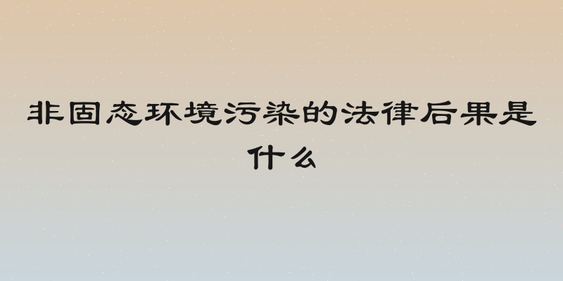 非固态环境污染的法律后果是什么