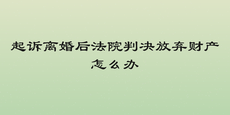 起诉离婚后法院判决放弃财产怎么办