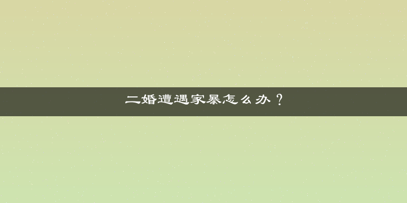 二婚遭遇家暴怎么办？