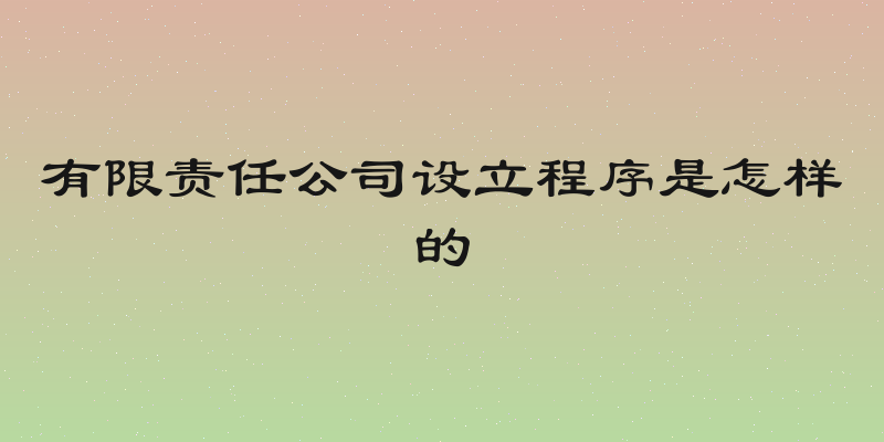 有限责任公司设立程序是怎样的