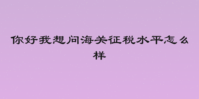 你好我想问海关征税水平怎么样