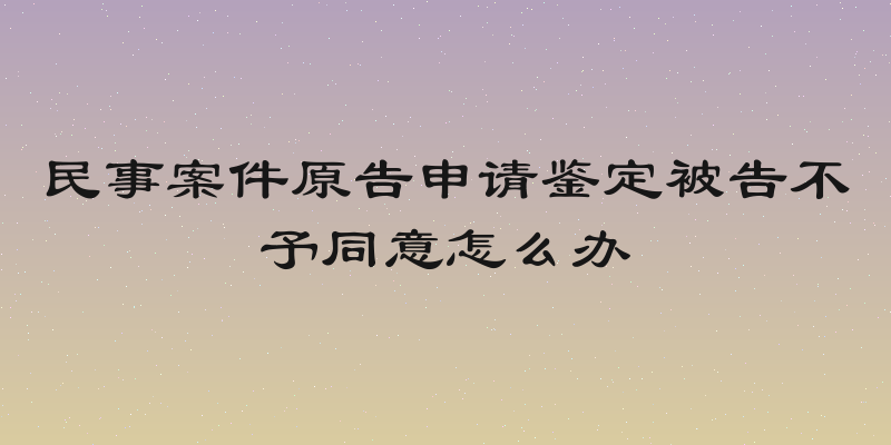 民事案件原告申请鉴定被告不予同意怎么办
