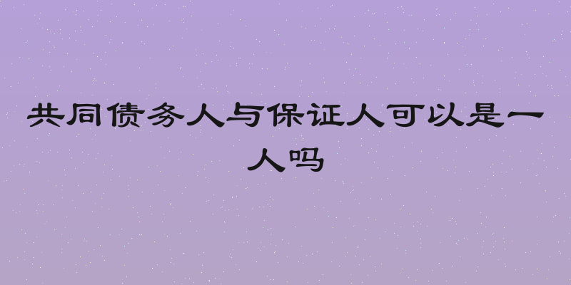共同债务人与保证人可以是一人吗
