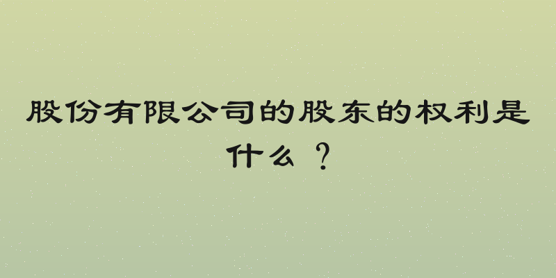 股份有限公司的股东的权利是什么？
