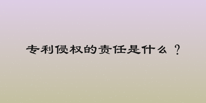专利侵权的责任是什么？