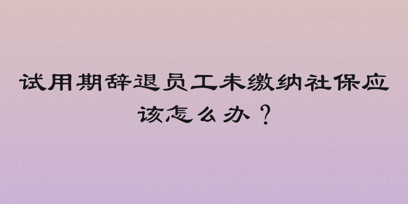 试用期辞退员工未缴纳社保应该怎么办？