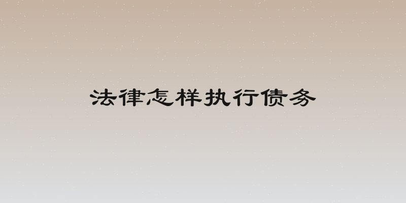 法律怎样执行债务