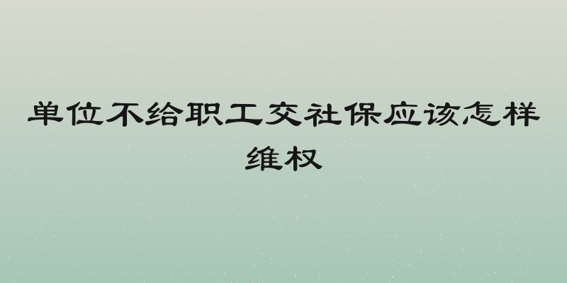单位不给职工交社保应该怎样维权