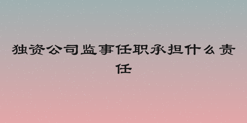 独资公司监事任职承担什么责任
