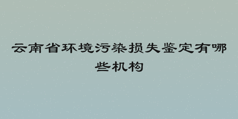 云南省环境污染损失鉴定有哪些机构